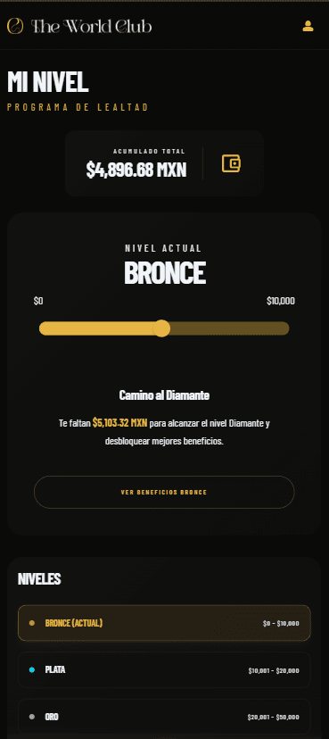 “Mi nivel” loyalty program section, with the current level, experience history, and available levels — mobile view